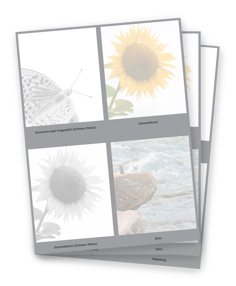 Drei Vorschauseiten des Leidzirkulare-Hintergrundsujet-PDFs.